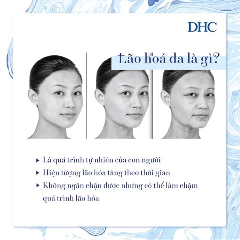 Lão hóa da và những điều bạn chưa biết - 1