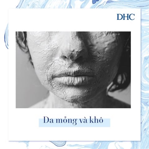 Lão hóa da và những điều bạn chưa biết - 3