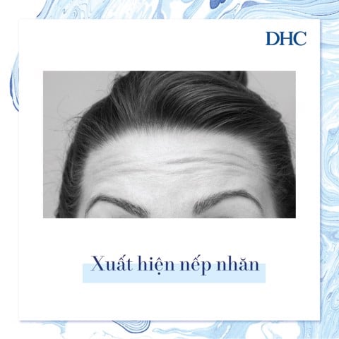 Lão hóa da và những điều bạn chưa biết - 4