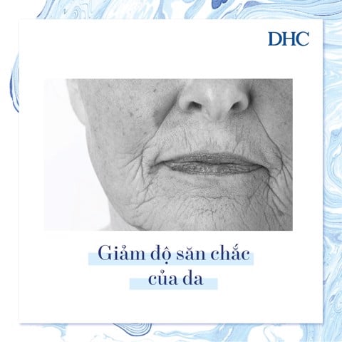 Lão hóa da và những điều bạn chưa biết - 7