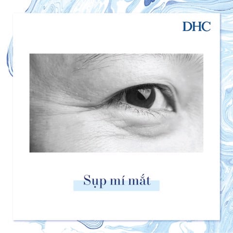 Lão hóa da và những điều bạn chưa biết - 8