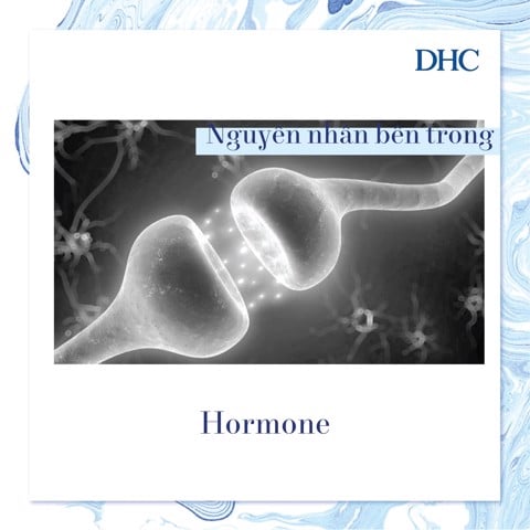 Lão hóa da và những điều bạn chưa biết - 11