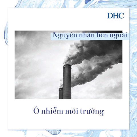 Lão hóa da và những điều bạn chưa biết - 13