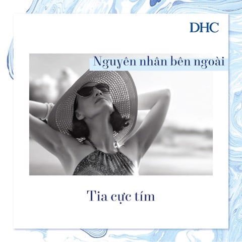 Lão hóa da và những điều bạn chưa biết - 12