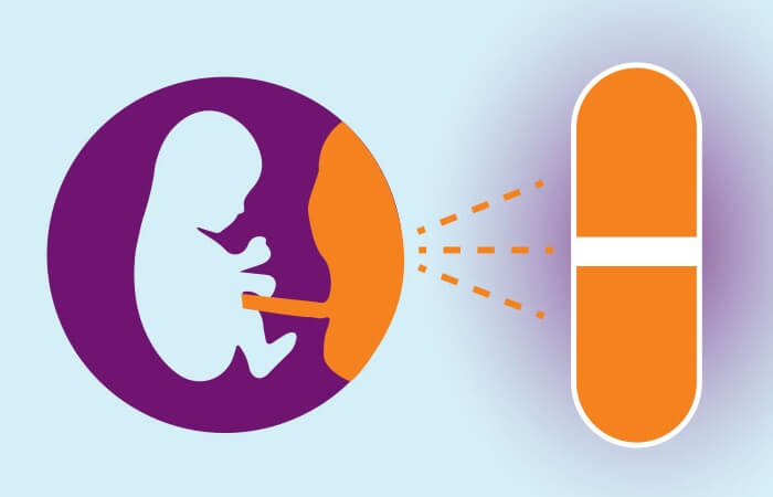 Nhau thai là cơ quan cung cấp chất dinh dưỡng nuôi thai nhi