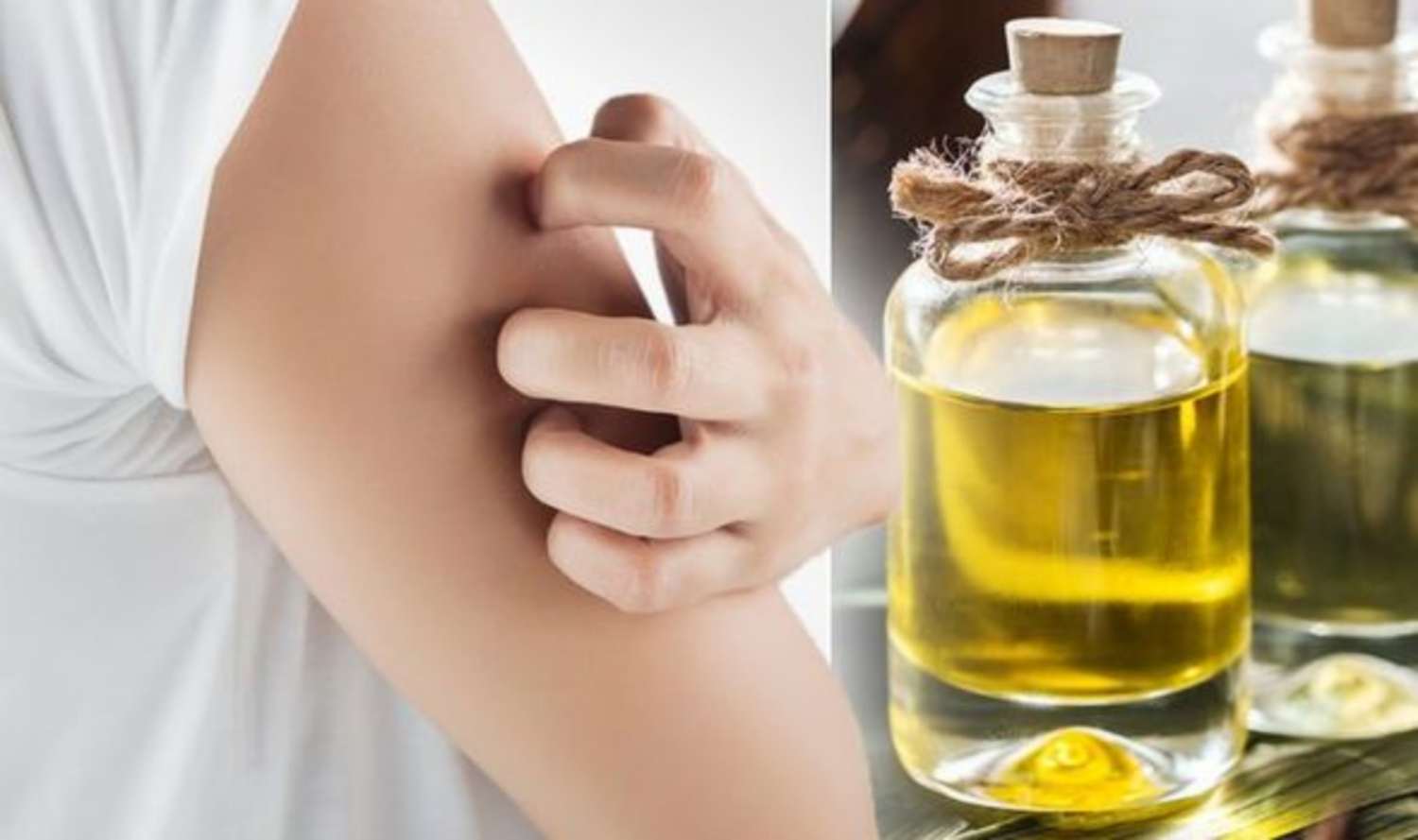 Tác dụng và cách dùng dầu argan dưỡng da mặt - 5