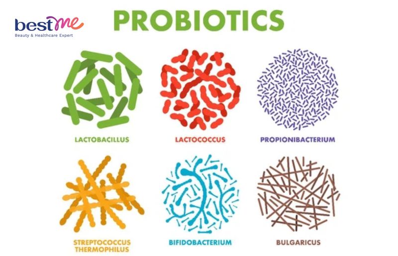 Probiotic là một loại vi khuẩn sống có lợi giúp cải thiện hệ tiêu hóa và giảm cân