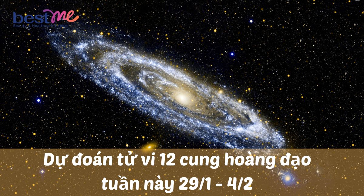 Dự đoán tử vi 12 cung hoàng đạo tuần này 29/1 - 4/2/2024: Sư Tử nhiều cơ hội mới cả trong công việc và cuộc sống