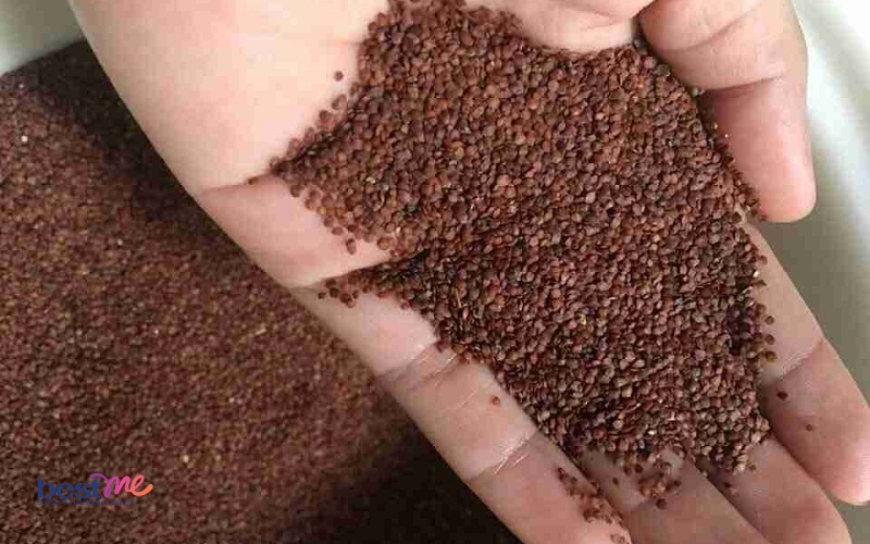 15-cach-tri-mun-tham-cho-da-dau-tai-nha-hieu-qua-ngo-ngang-12 15 cách trị mụn thâm cho da dầu tại nhà hiệu quả ngỡ ngàng - 12