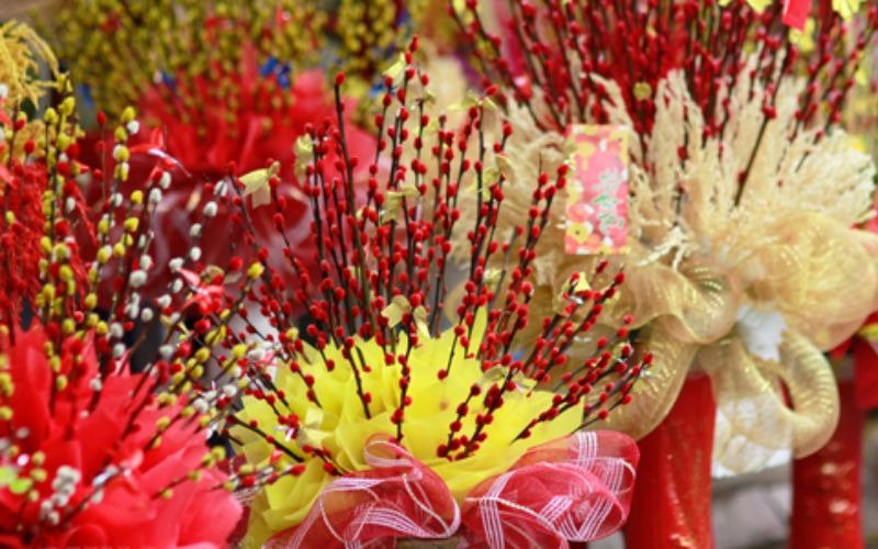 16 các loại hoa Tết miền Bắc đẹp giàu ý nghĩa may mắn nhất - 9