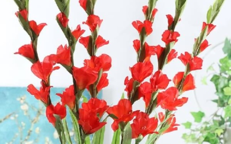 2 cách cắm hoa huệ đỏ để bàn thờ ngày Tết đẹp ý nghĩa nhất - 1
