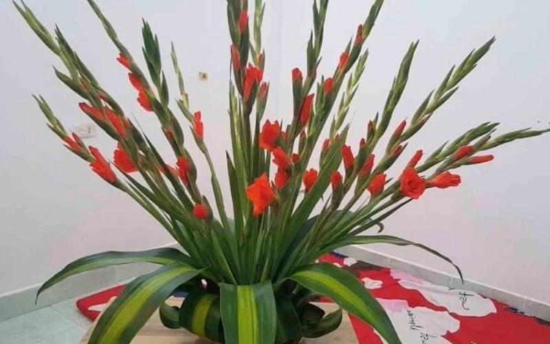 2 cách cắm hoa huệ đỏ để bàn thờ ngày Tết đẹp ý nghĩa nhất - 2