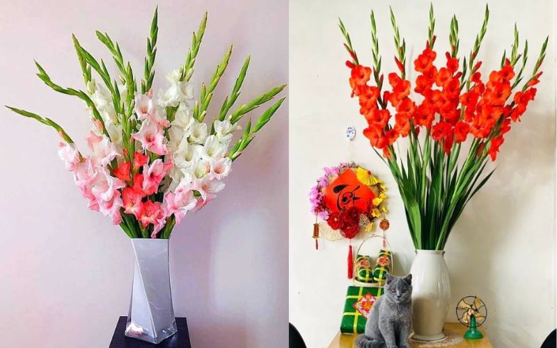3-cach-cam-hoa-lay-on-de-ban-tho-ngay-tet-2024-y-nghia-nhat-3 3 cách cắm hoa lay ơn để bàn thờ ngày Tết 2024 ý nghĩa nhất - 3