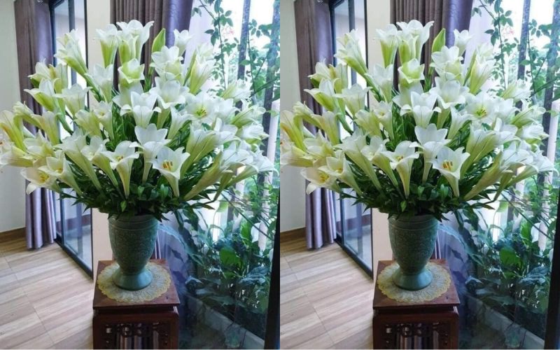 4-cach-cam-hoa-loa-ken-dep-tuoi-lau-choi-tet-2024-cuc-de-13 4 cách cắm hoa loa kèn đẹp tươi lâu chơi Tết 2024 cực dễ - 13