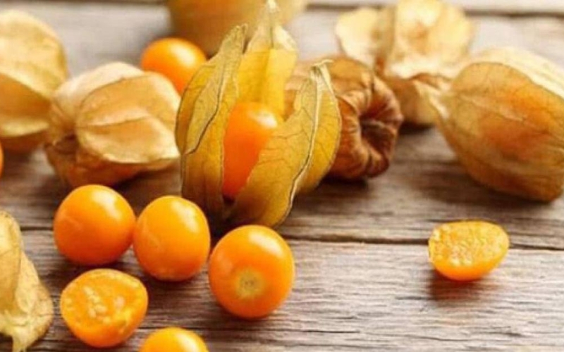 4-tac-hai-cua-cay-tam-bop-va-nhung-luu-y-quan-trong-khi-dung-5 4 tác hại của cây tầm bóp và những lưu ý quan trọng khi dùng - 5