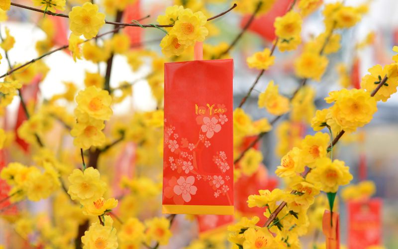 50-cau-chuc-tet-2024-tet-giap-thin-hay-va-y-nghia-nhat-1 50+ câu chúc tết 2024, Tết Giáp Thìn hay và ý nghĩa nhất - 1