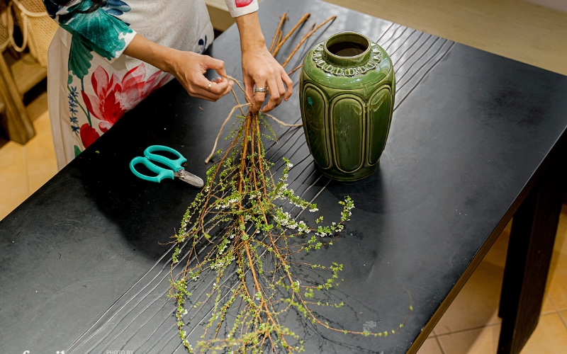 hoa tuyết mai