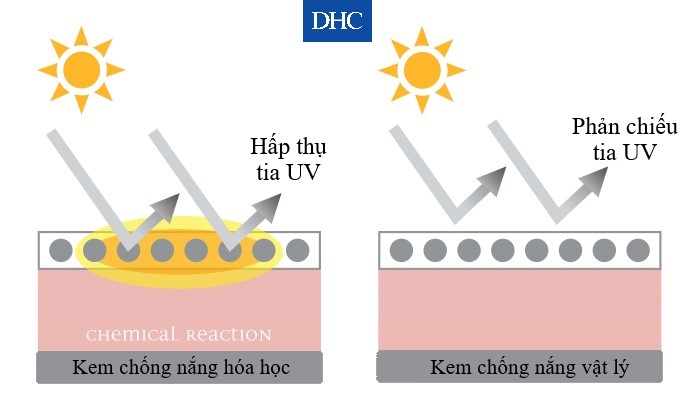 Nguyên lý hoạt động của 02 loại kem chống nắng hoá học & vật lý