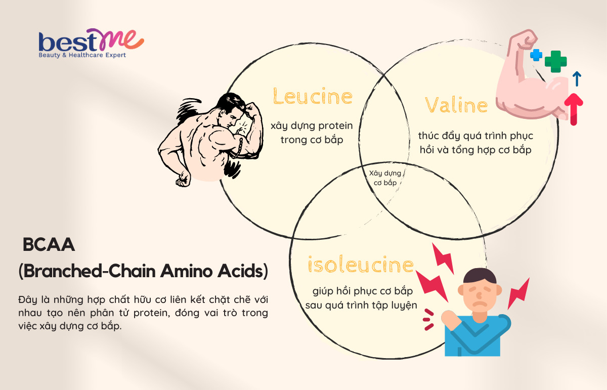 Các axit amin có trong BCAA