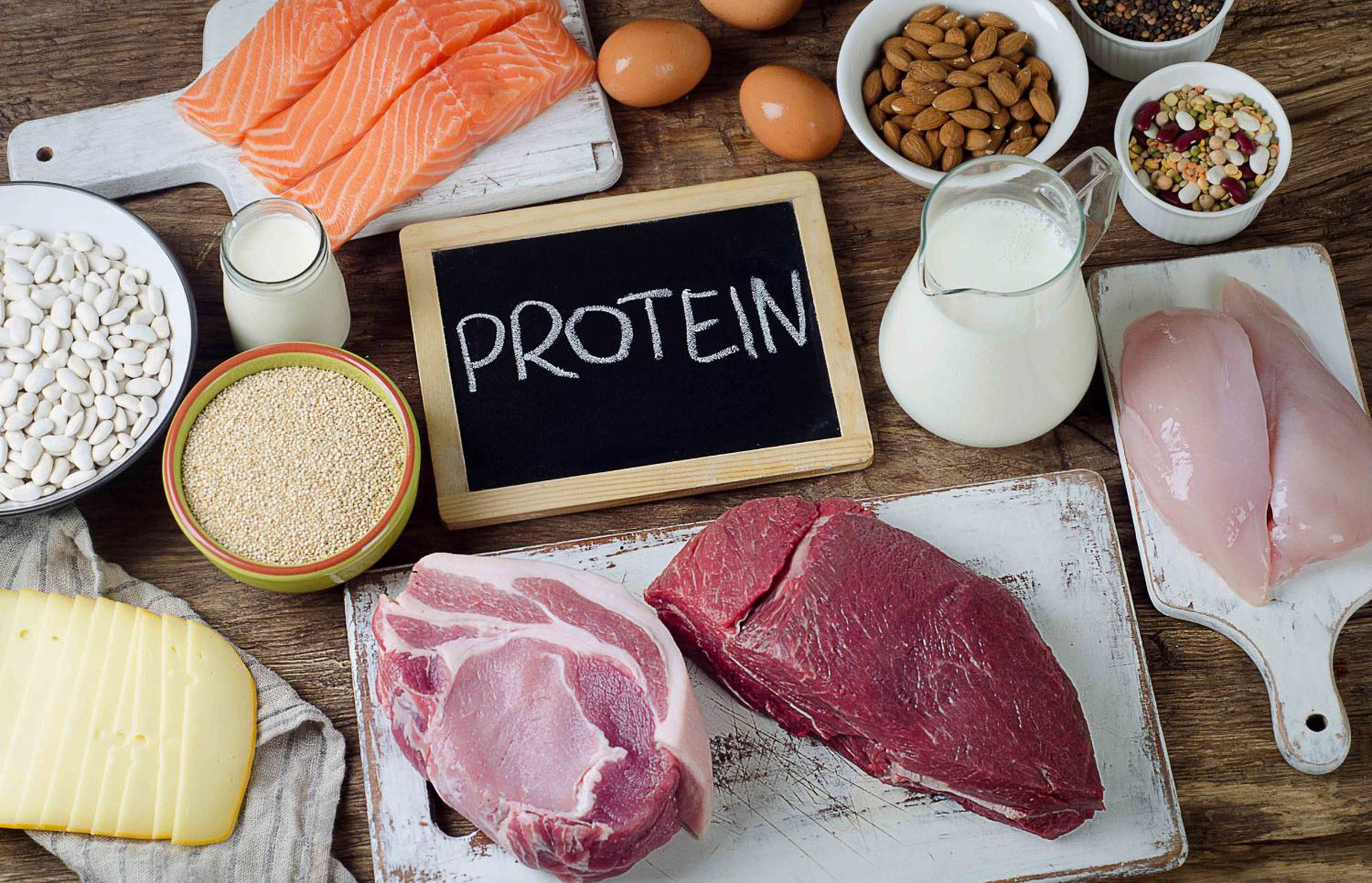 Ăn nhiều protein giúp đốt mỡ bụng hiệu quả