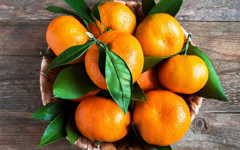 an-quyt-co-noi-mun-khong-an-moi-ngay-co-tot-cho-suc-khoe-4 Ăn quýt có nổi mụn không? Ăn mỗi ngày có tốt cho sức khỏe? - 4