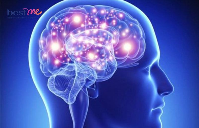 Anthocyanin giúp tăng cường khả năng tập trung, ghi nhớ