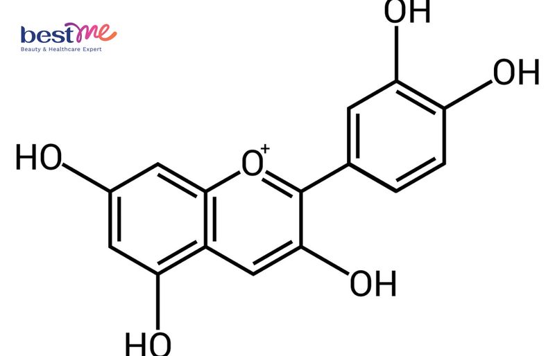 Cấu trúc hóa học của Anthocyanin