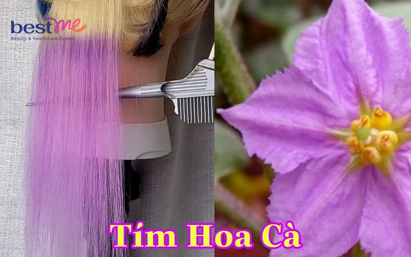 Tím hoa cà phù hợp với nhiều màu da khác nhau