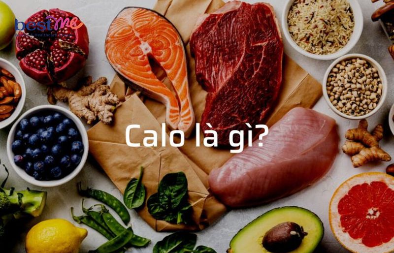 Bảng tính calo cho phần ăn hàng ngày của người giảm cân gồm những gì?
