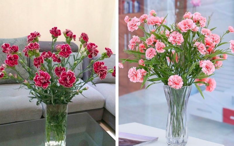 Bật mí cách cắm hoa cẩm chướng để bàn thờ đơn giản ý nghĩa - 2