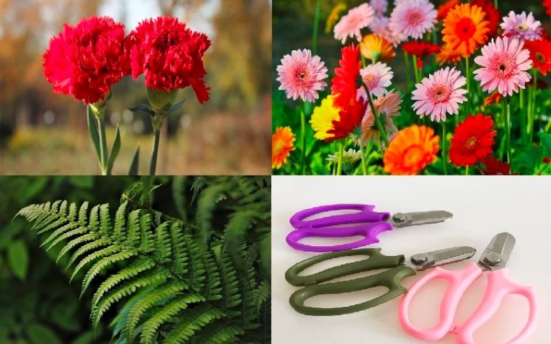 Bật mí cách cắm hoa cẩm chướng để bàn thờ đơn giản ý nghĩa - 3