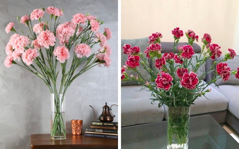 Bật mí cách cắm hoa cẩm chướng để bàn thờ đơn giản ý nghĩa - 6