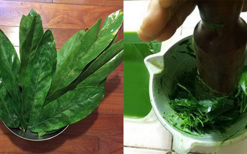 bat-mi-cach-lam-banh-chung-xanh-bang-la-rieng-chuan-vi-tay-bac-3 Bật mí cách làm bánh chưng xanh bằng lá riềng chuẩn vị Tây Bắc - 3