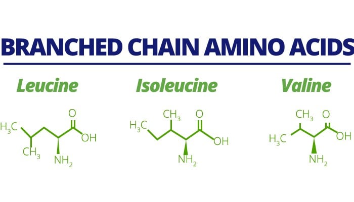 BCAA giúp bạn tiêu thụ mỡ thừa và nhanh chóng lấy lại vóc dáng thon gọn