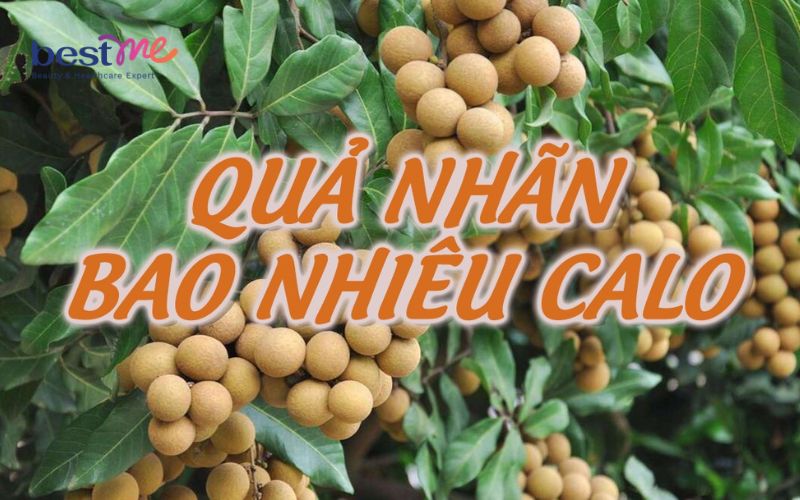 bestme-giai-dap-nhan-bao-nhieu-calo-an-nhan-nhieu-co-map-khong-1 Bestme giải đáp: Nhãn bao nhiêu calo? Ăn nhãn nhiều có mập không? - 1
