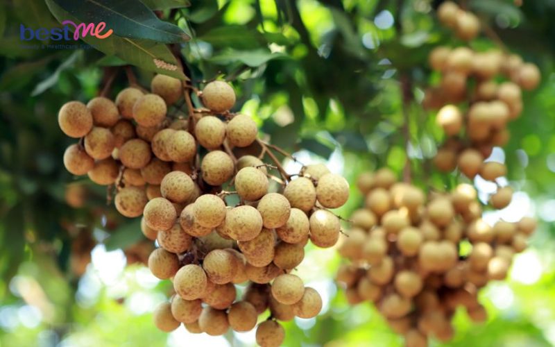 bestme-giai-dap-nhan-bao-nhieu-calo-an-nhan-nhieu-co-map-khong-3 Bestme giải đáp: Nhãn bao nhiêu calo? Ăn nhãn nhiều có mập không? - 3