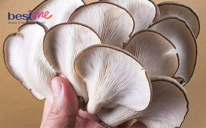 bi-quyet-che-bien-mon-nam-bao-ngu-xao-chay-thom-ngon-bo-duong-3 Bí quyết chế biến món nấm bào ngư xào chay thơm ngon, bổ dưỡng - 3