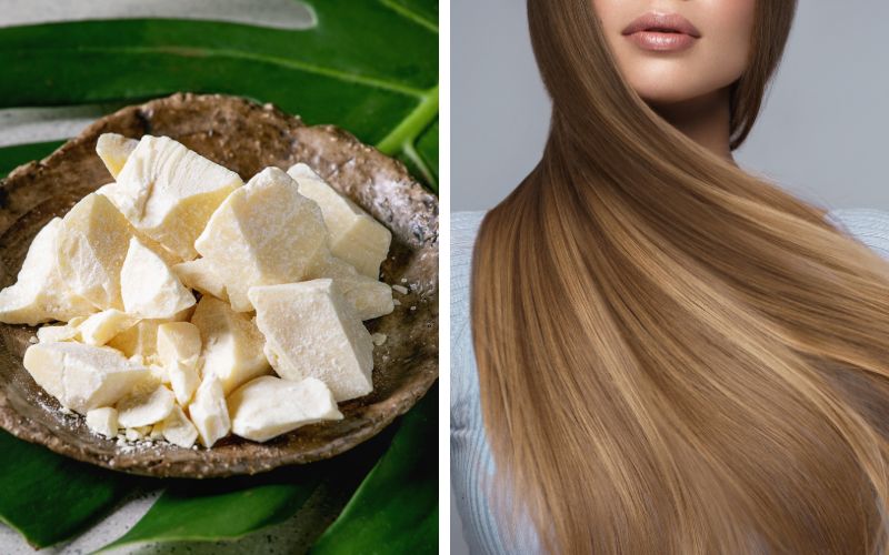bo-cacao-la-gi-nhung-cong-dung-doi-voi-suc-khoe-va-lam-dep-4 Bơ cacao là gì? Những công dụng đối với sức khỏe và làm đẹp - 4
