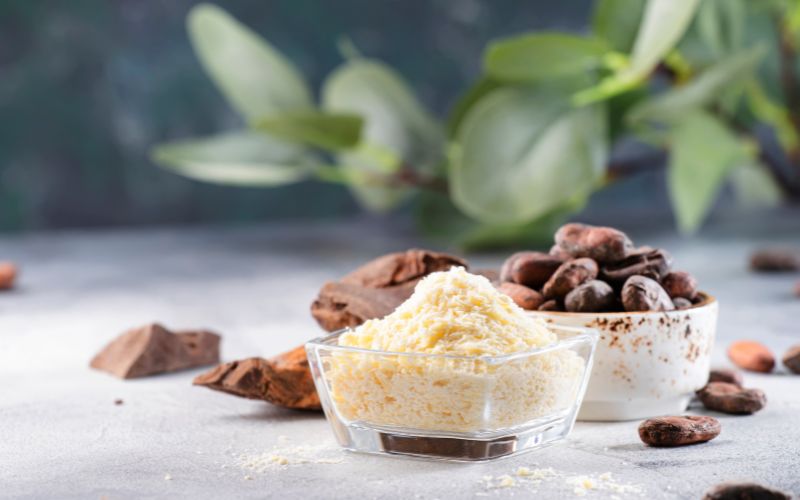 bo-cacao-la-gi-nhung-cong-dung-doi-voi-suc-khoe-va-lam-dep-5 Bơ cacao là gì? Những công dụng đối với sức khỏe và làm đẹp - 5
