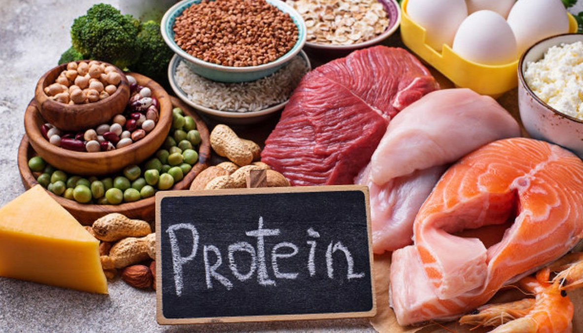 Bổ sung protein vào khẩu phần ăn hàng ngày