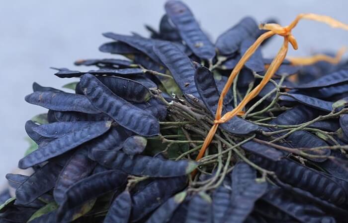 Bồ kết giúp mái tóc thêm đen bóng, suôn mượt