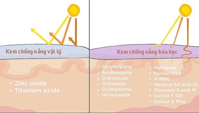 Kem chống nắng vật lý và kem chống nắng hóa học