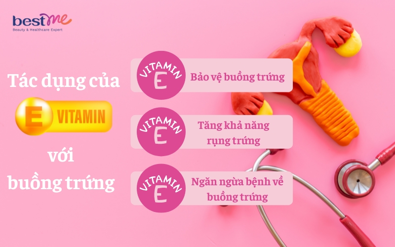 cac-tac-dung-cua-vitamin-e-voi-buong-trung-ma-rat-it-nguoi-biet-2 Các tác dụng của vitamin E với buồng trứng mà rất ít người biết - 2