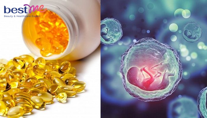 cac-tac-dung-cua-vitamin-e-voi-buong-trung-ma-rat-it-nguoi-biet-4 Các tác dụng của vitamin E với buồng trứng mà rất ít người biết - 4