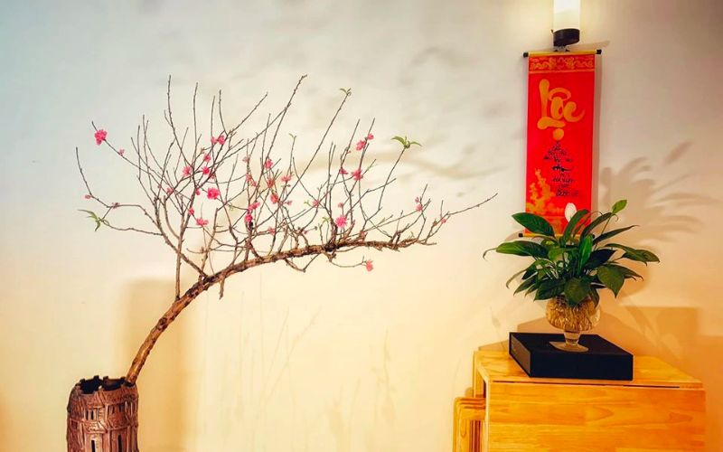 cach-cam-canh-dao-rung-chung-tet-2024-dep-doc-dao-cuc-de-7 Cách cắm cành đào rừng chưng Tết 2024 đẹp độc đáo cực dễ - 7