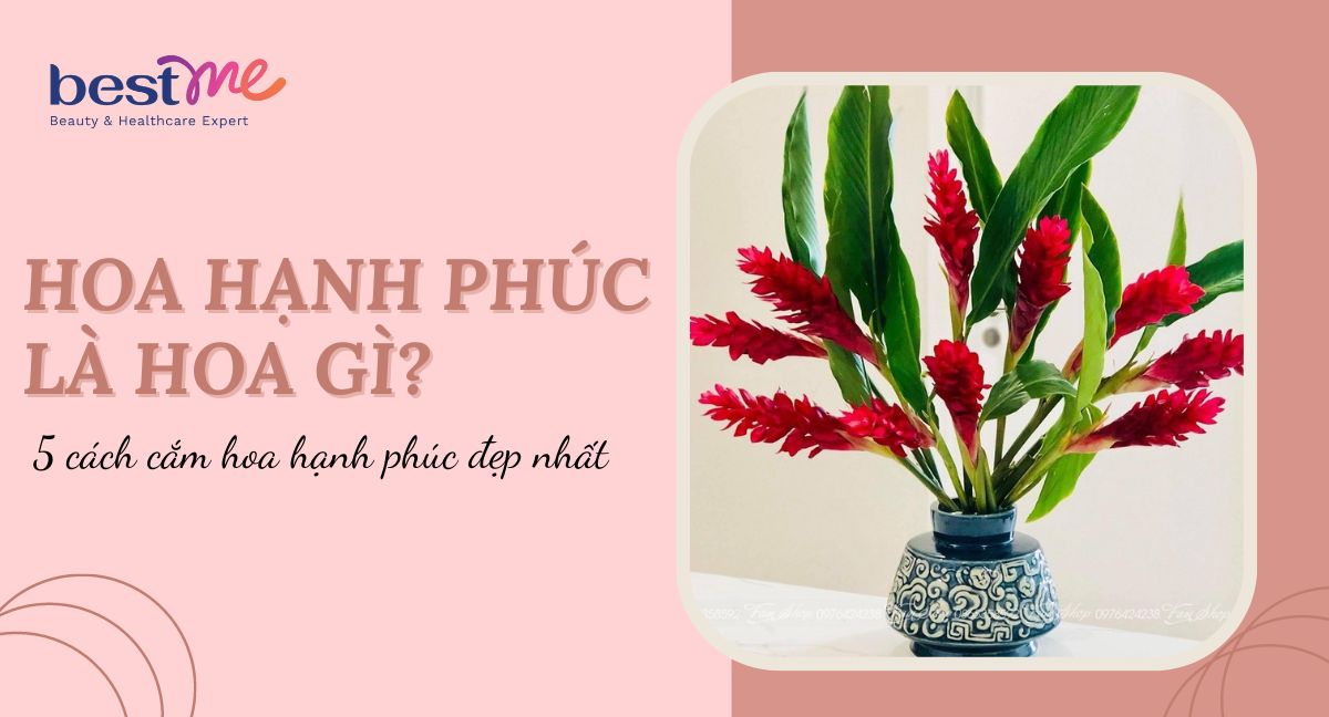 Hoa hạnh phúc là hoa gì? 5 cách cắm hoa hạnh phúc đẹp nhất