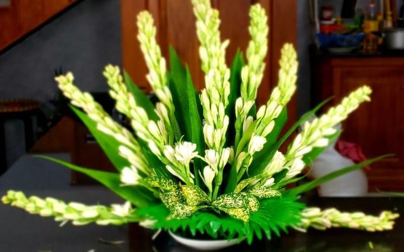 cach-cam-hoa-hue-trang-ban-tho-ngay-tet-2024-dep-y-nghia-5 Cách cắm hoa huệ trắng bàn thờ ngày Tết 2024 đẹp ý nghĩa - 5