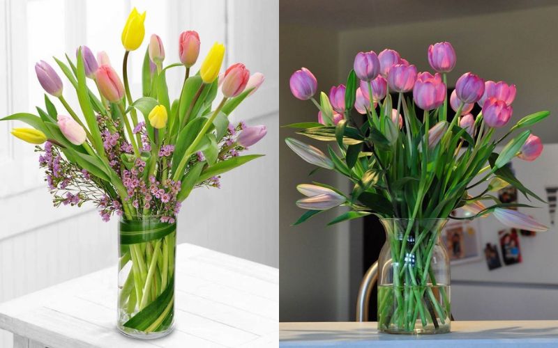 cach-cam-hoa-tulip-dep-tuoi-lau-chung-tet-2024-cuc-an-tuong-3 Cách cắm hoa tulip đẹp tươi lâu chưng Tết 2024 cực ấn tượng - 3