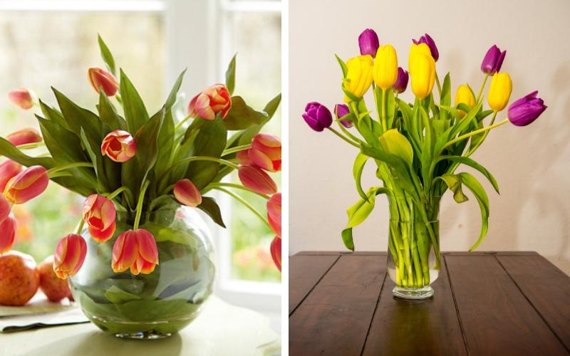 cach-cam-hoa-tulip-dep-tuoi-lau-chung-tet-2024-cuc-an-tuong-7 Cách cắm hoa tulip đẹp tươi lâu chưng Tết 2024 cực ấn tượng - 7
