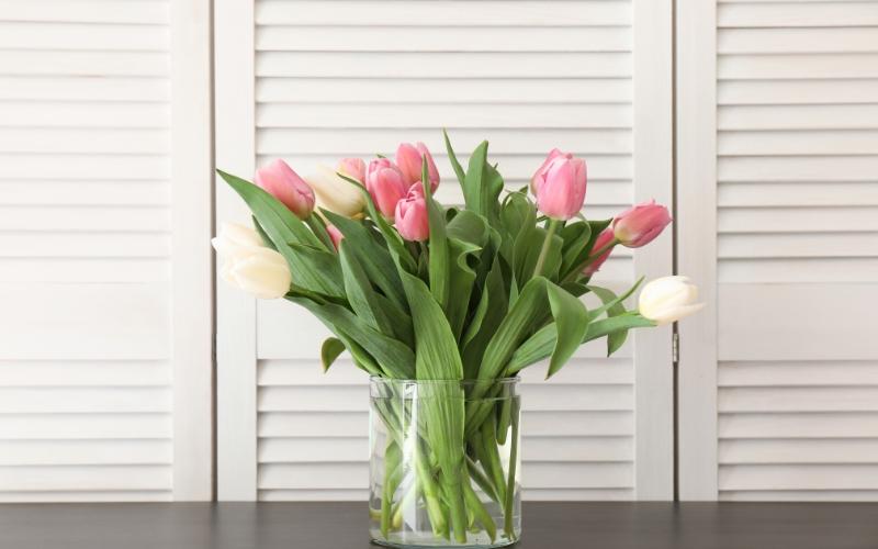 cach-cam-hoa-tulip-dep-tuoi-lau-chung-tet-2024-cuc-an-tuong-8 Cách cắm hoa tulip đẹp tươi lâu chưng Tết 2024 cực ấn tượng - 8